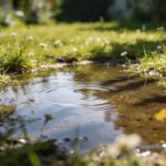Installer une mare naturelle au jardin : quels animaux va-t-elle attirer et comment l&rsquo;entretenir ?