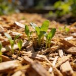 Le paillage de printemps que beaucoup oublient et qui réduit l'arrosage de moitié