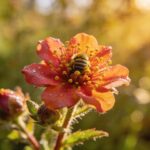 Les abeilles sauvages snobent votre jardin ? Cette plante oubliée les attire mieux que la lavande