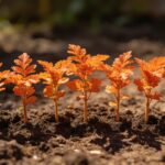 7 plantes oranges à planter en mai pour un jardin différent du voisin