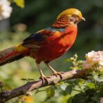 Cet oiseau exotique colonise les jardins français : le voir près de chez vous est un mauvais signe
