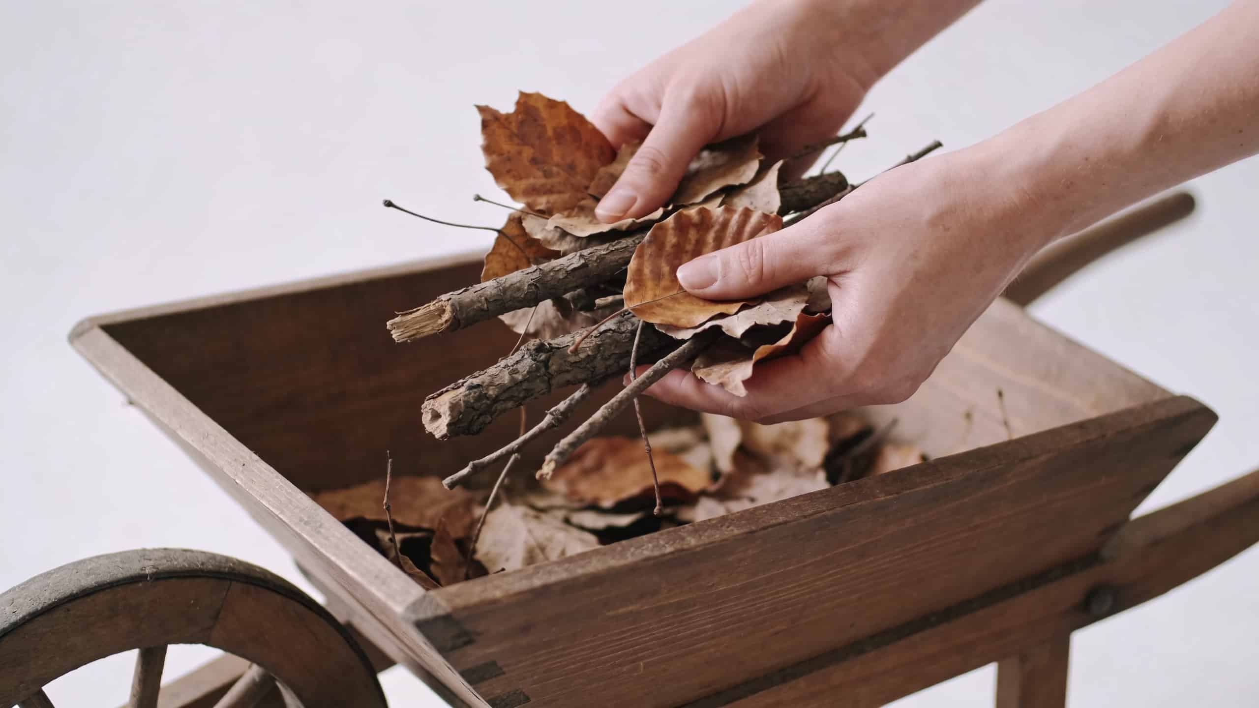 mains versant feuilles mortes et brindilles dans brouette
