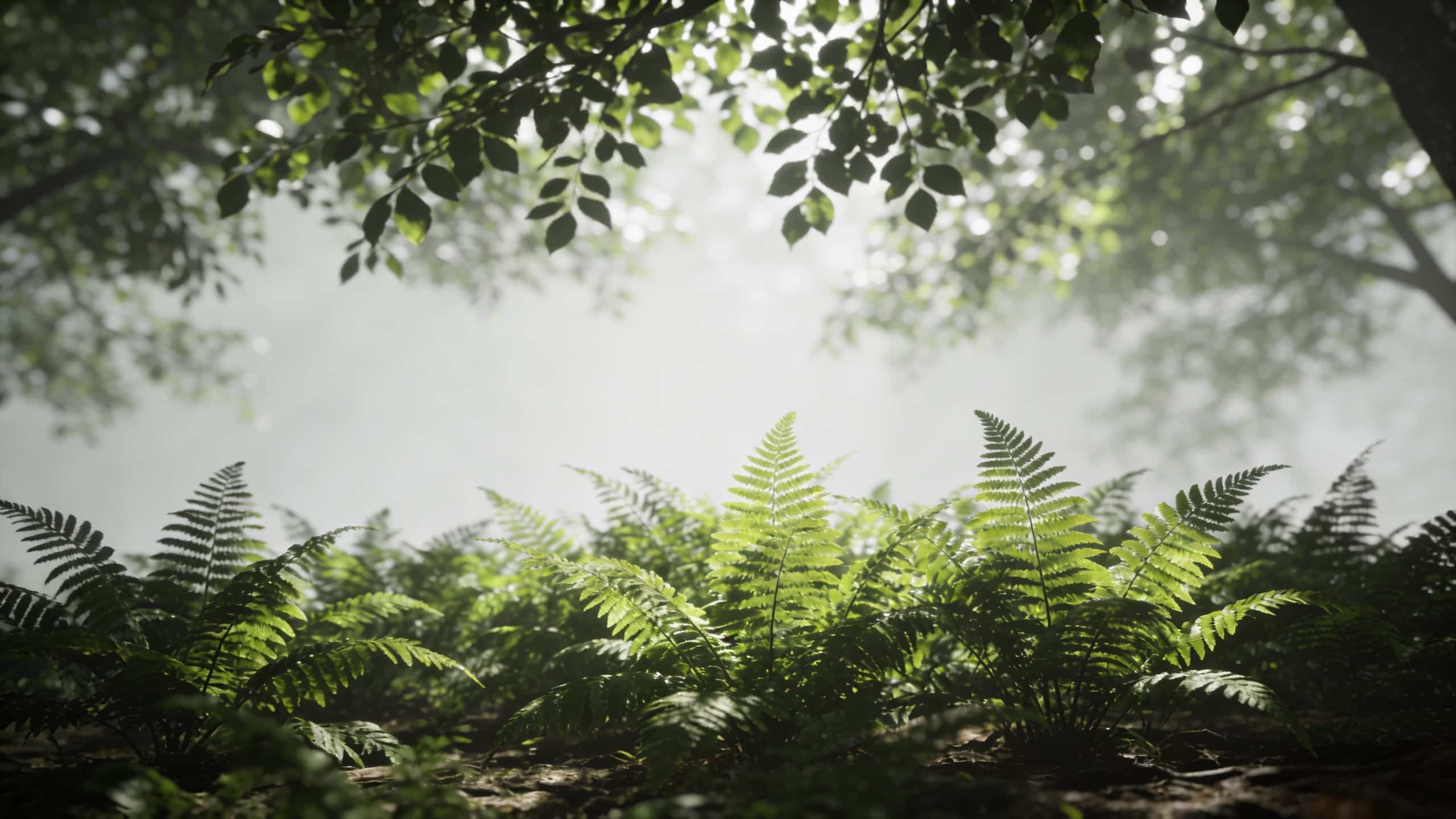 Massif de fougeres vertes sous arbres feuillus