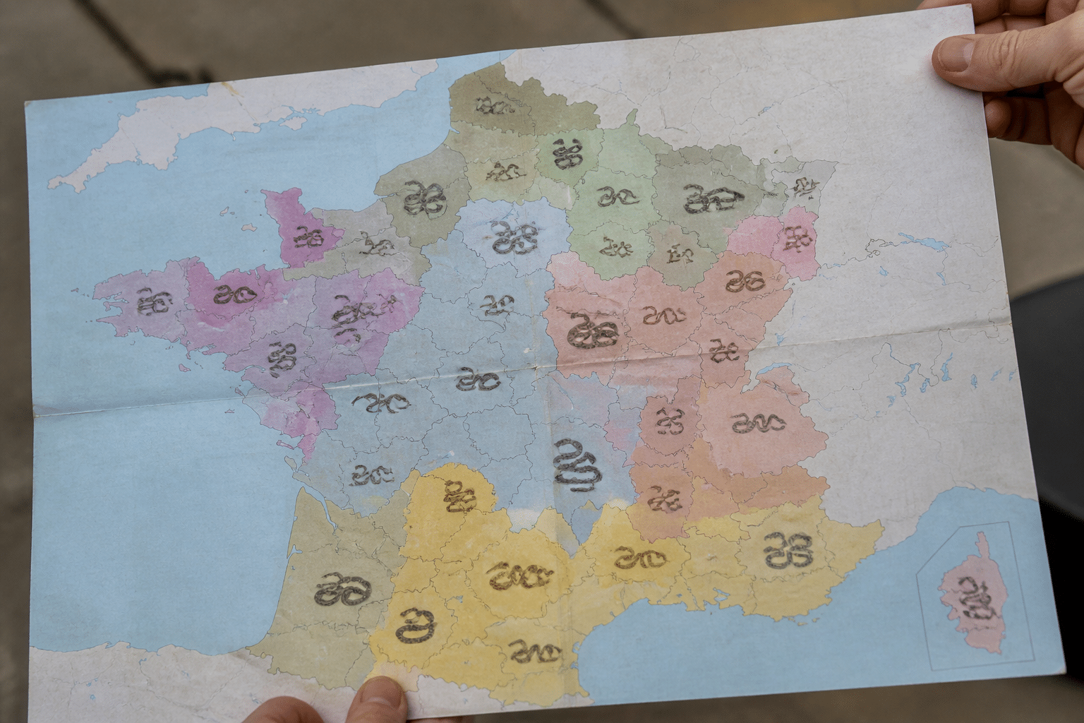 Carte geographique affichant les regions francaises avec serpents marques en couleur