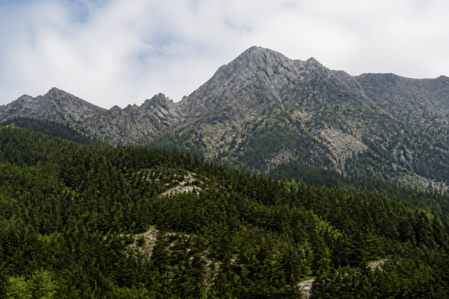 Sommets montagneux couverts de forets denses et rocheuses