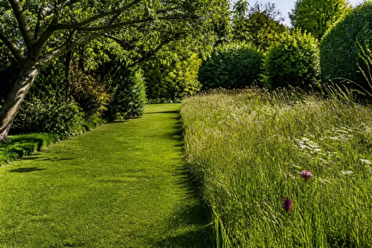 Jardin divisé avec herbe tondue courte et zone sauvage haute