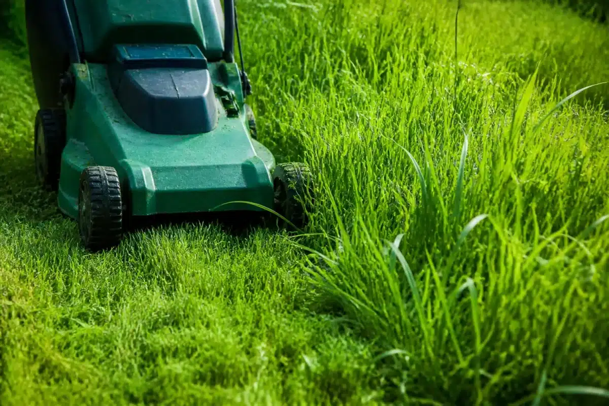Tondeuse verte coupant herbe haute verdoyante par beau jour