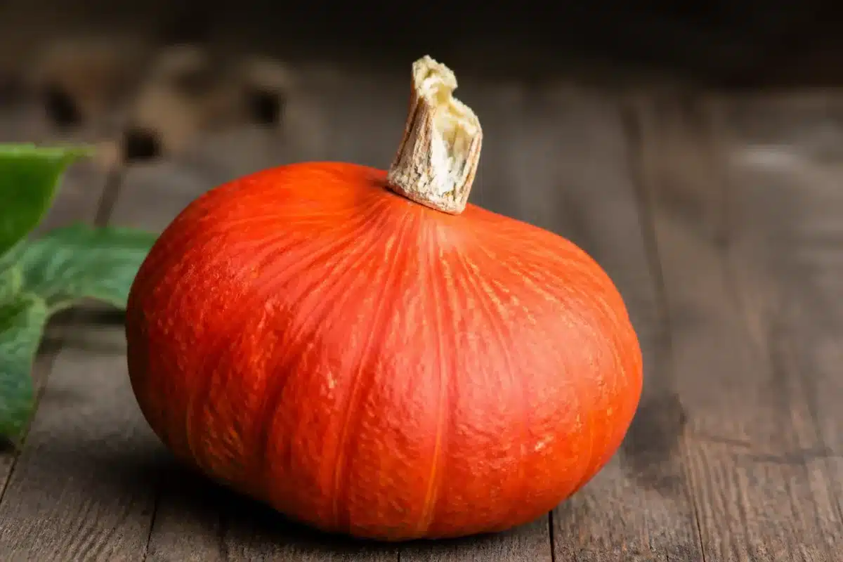 Courge avec tige cassée sur surface rustique