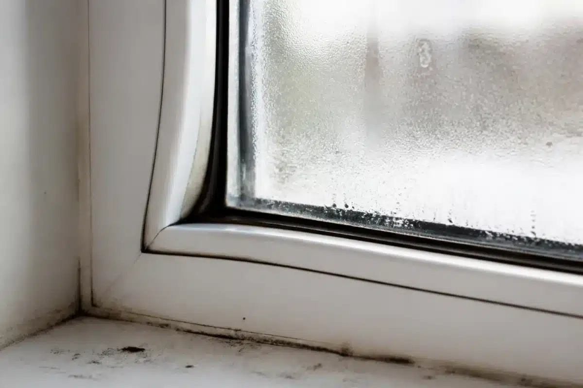 Cadre de fenêtre déformé avec condensation entre les vitres