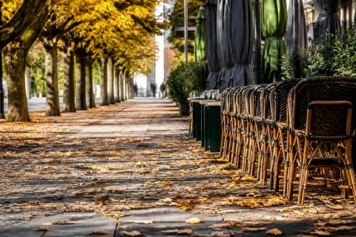 Feuilles mortes sur allee avec mobilier exterieur rangé