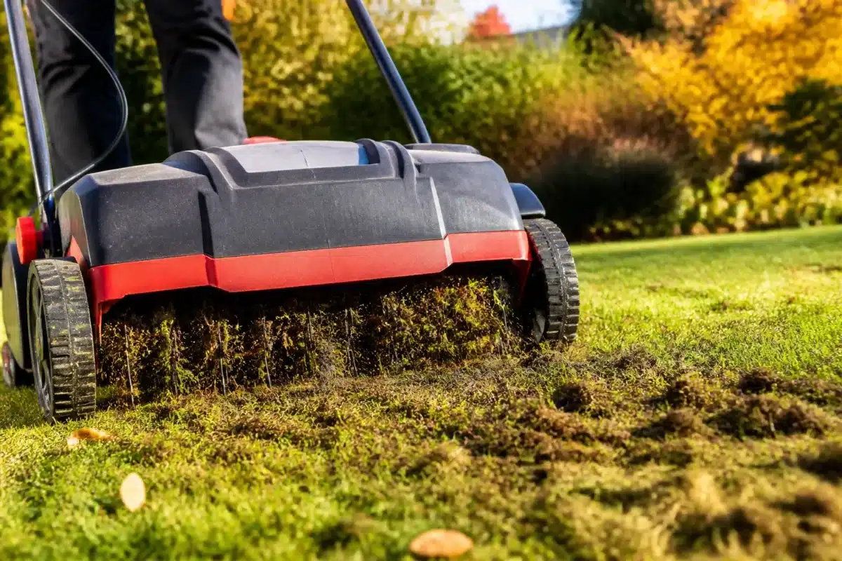 Scarificateur éliminant mousse et feutre sur pelouse automne