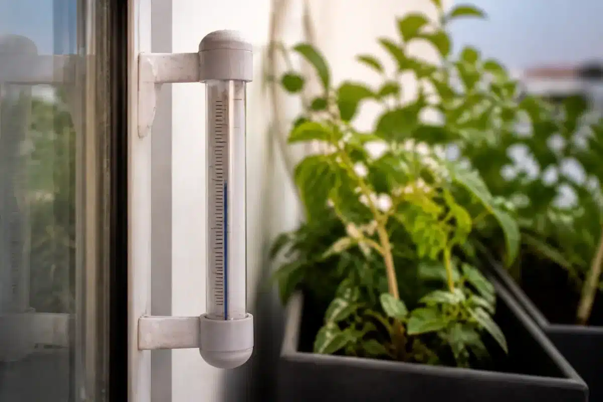 Thermometre exterieur affichant cinq degres celsius pres plantes vertes